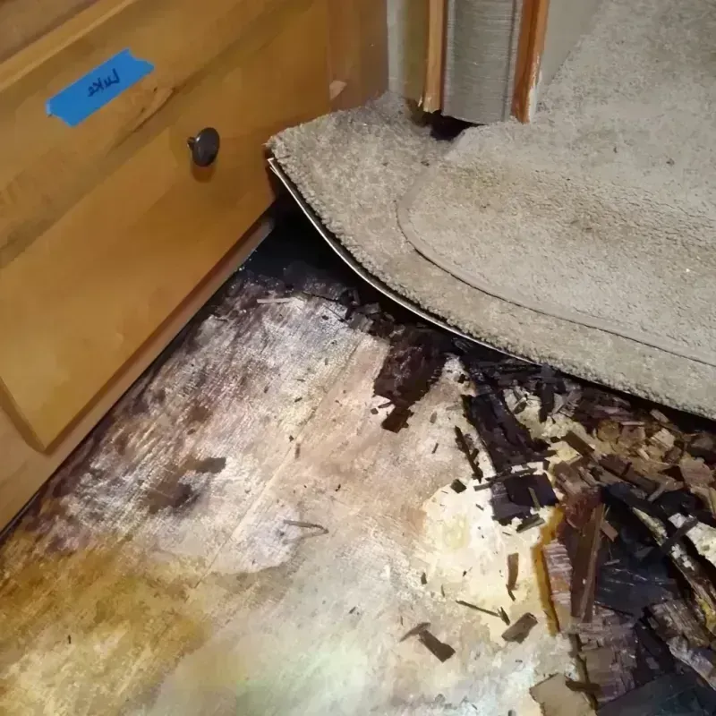 Best Wood Floor Water Damage Service in Inglis, FL